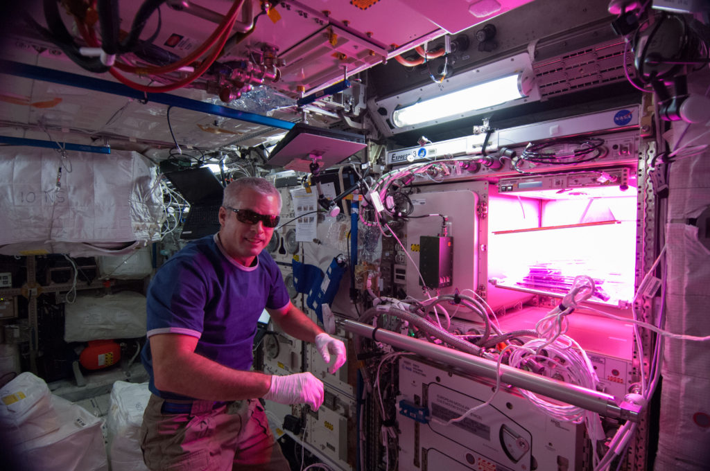 Steve Swanson Astronaut astrobotany plants in space veggie