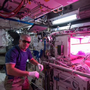 Steve Swanson Astronaut astrobotany plants in space veggie