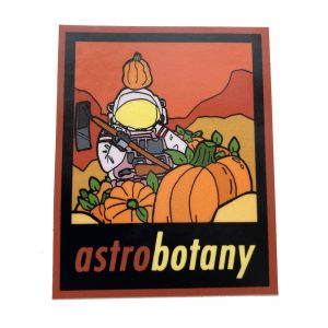 Astro Bunny Shirt - ApolloBox